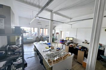 Spațiu industrial de inchiriat IASI - Iasi anunturi imobiliare Iasi