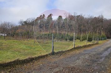 Teren  vanzare 1441 mp Cisnadioara strada Ciresilor anunturi imobiliare Sibiu