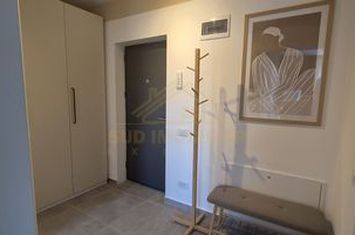 GARSONIERA-38,87 MP-DRUMUL BINELUI anunturi imobiliare Bucuresti