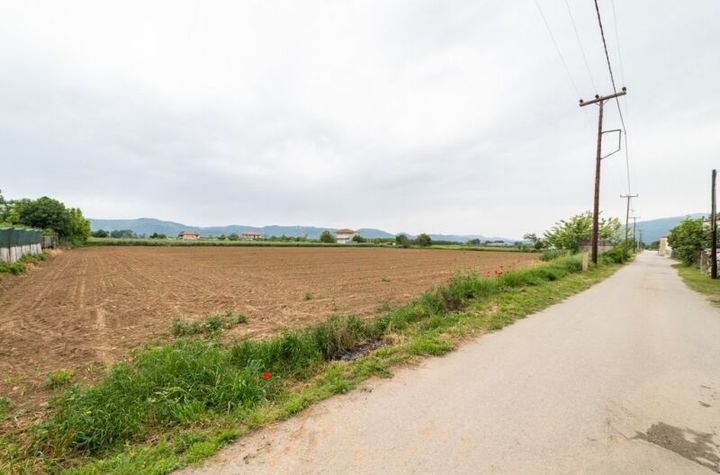 Teren construibil 6.620 mp în Polystylo, Kavala anunturi imobiliare Grecia