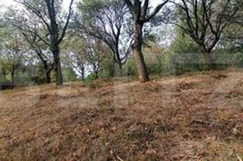 Teren de vanzare ALBA IULIA - Alba anunturi imobiliare Alba