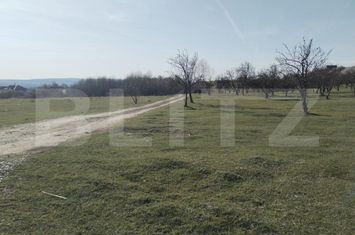 Teren de vanzare ANINOASA - Dambovita anunturi imobiliare Dambovita