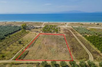 Teren 3115 mp la 80 metri de plajă, Paralia Ofriniou anunturi imobiliare Grecia
