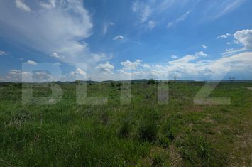 Teren de vanzare TARGU MURES - Mures anunturi imobiliare Mures