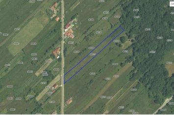 Teren de vanzare NOVACI - Gorj anunturi imobiliare Gorj