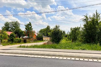 Balotesti - Caciulati, teren intravilan, suprafata 2.596 mp anunturi imobiliare Bucuresti