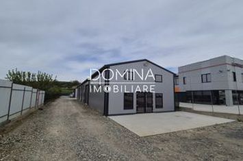 Spațiu industrial de inchiriat TARGU-JIU - Gorj anunturi imobiliare Gorj