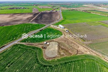 Teren Intravilan de vanzare EXTERIOR VEST - Arad anunturi imobiliare Arad