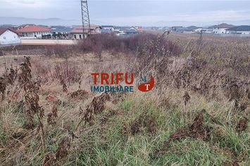 Teren Intravilan de vanzare CENTRAL - Alba anunturi imobiliare Alba