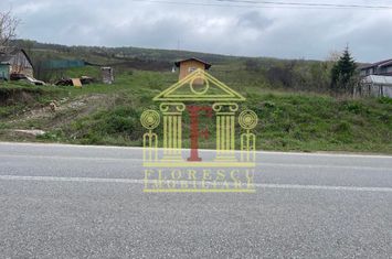 Super oferta ! Teren Tomesti ! anunturi imobiliare Iasi