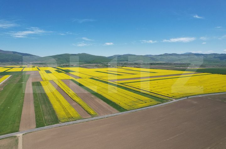 Teren de vanzare BRASOV - Brasov anunturi imobiliare Brasov