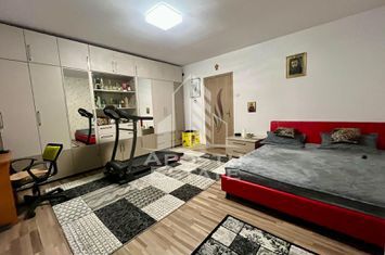 Doua apartamente la curte comuna,zona Traian anunturi imobiliare Timis
