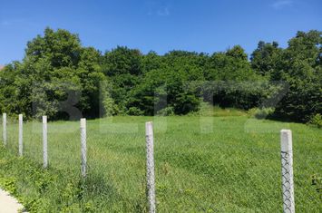 Teren de vanzare SIRET - Suceava anunturi imobiliare Suceava