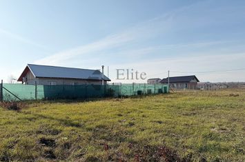 Teren intravilan 550 mp de vanzare in Paleu anunturi imobiliare Bihor