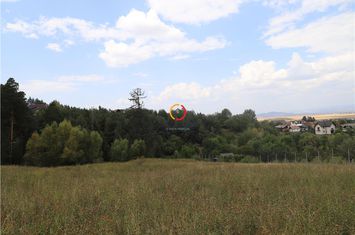 Teren Intravilan de vanzare SACELE - Brasov anunturi imobiliare Brasov