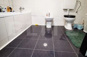 Casă - 5 camere de vanzare MEHALA - Timis anunturi imobiliare Timis