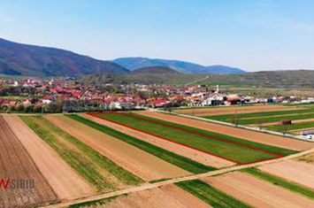 Teren de vanzare ORLAT - Sibiu anunturi imobiliare Sibiu