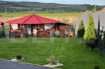 Vilă - 4 camere de vanzare IERNUT - Mures anunturi imobiliare Mures