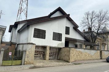 Vilă - 8 camere de vanzare DOROHOI - Botosani anunturi imobiliare Botosani