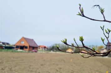 Teren Intravilan de vanzare EXTERIOR EST - Brasov anunturi imobiliare Brasov