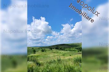 Teren Intravilan de vanzare DEZMIR - Cluj anunturi imobiliare Cluj