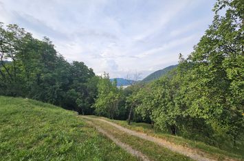 Teren de vanzare SECIURI - Prahova anunturi imobiliare Prahova