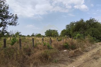 TEREN INTRAVILAN 2500 MP-SCOLII-VIILOR anunturi imobiliare Bucuresti