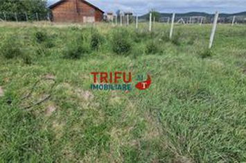 Teren Intravilan de vanzare CENTRAL - Alba anunturi imobiliare Alba