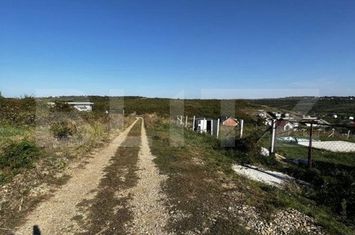 Teren de vanzare PODGORIA - Bihor anunturi imobiliare Bihor