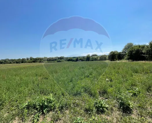 Teren Intravilan Nord, 5000 mp