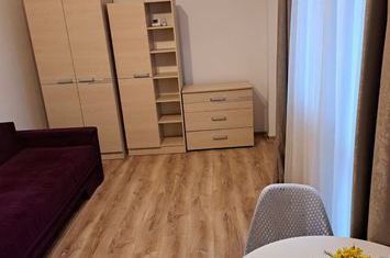 Apartament cu doua camere, open-space, Visoianu, gradina, mobilat, loc de parcare anunturi imobiliare Iasi