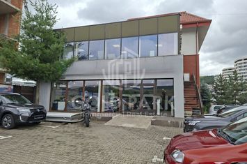 Spatiu Comercial/Showroom - zona BMW/METRO/E60 - 440 mp anunturi imobiliare Cluj