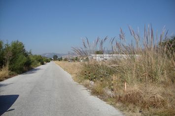 Teren agricol 4000 mp cu construcție 300 mp în Nea Karvali anunturi imobiliare Grecia