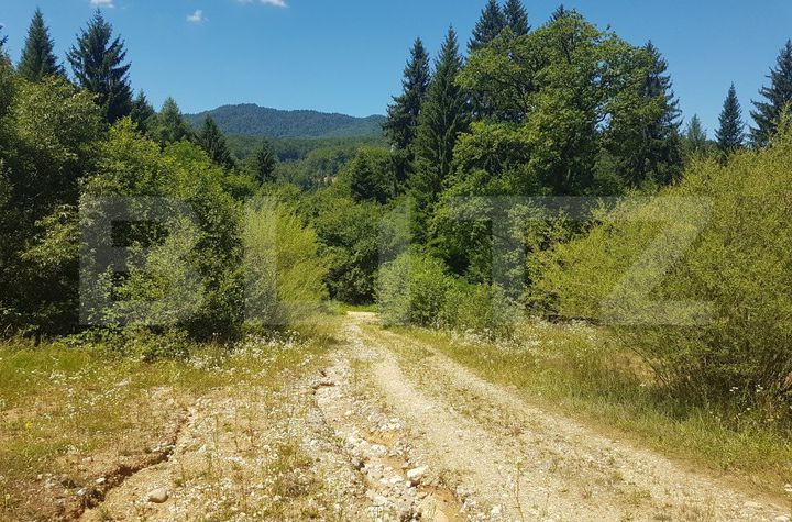 Teren de vanzare BRASOV - Brasov anunturi imobiliare Brasov