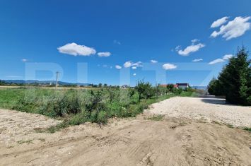 Teren de vanzare HALCHIU - Brasov anunturi imobiliare Brasov