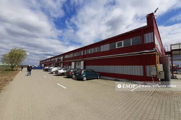 Spațiu industrial de inchiriat ARAD - Arad anunturi imobiliare Arad