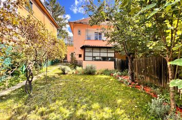 Casă - 3 camere de vanzare SUB ARINI - Sibiu anunturi imobiliare Sibiu