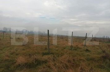Teren de vanzare CRAIOVA - Dolj anunturi imobiliare Dolj