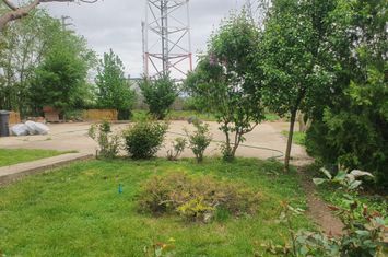Vilă - 4 camere de vanzare ALBESTI - Constanta anunturi imobiliare Constanta