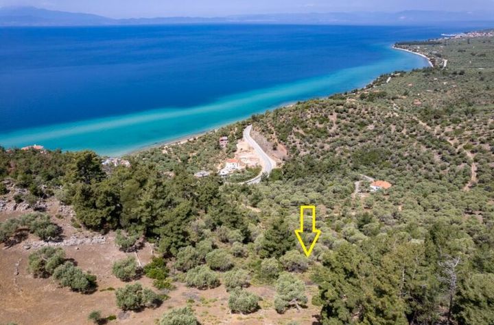 Teren construibil 5302 mp în Skala Kallirachis anunturi imobiliare Grecia