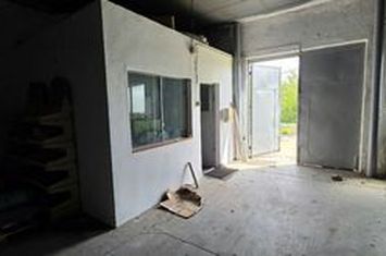 Hală de închiriat Popesti Leordeni – Șoseaua de Centură |273 mp anunturi imobiliare Bucuresti