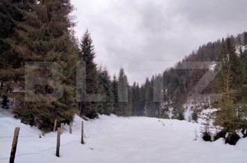 Vilă - 5 camere de vanzare DEALU BAJULUI - Alba anunturi imobiliare Alba