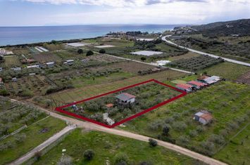 Teren agricol 1.500 mp cu casă 55 mp în Nea Peramos anunturi imobiliare Grecia