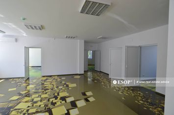 Birou de inchiriat BUCURESTII NOI - Bucuresti anunturi imobiliare Bucuresti