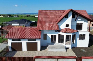 Vilă - 6 camere de vanzare HALCHIU - Brasov anunturi imobiliare Brasov