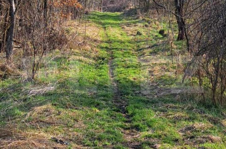 Casă - 1 camere de vanzare DEVA - Hunedoara anunturi imobiliare Hunedoara