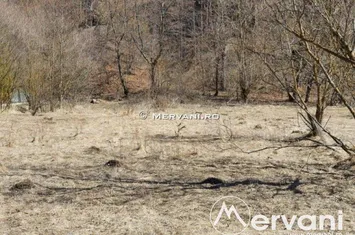 Teren Intravilan de vanzare BUSTENI - Prahova anunturi imobiliare Prahova