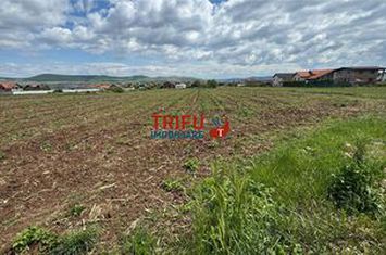 Teren Intravilan de vanzare CENTRAL - Alba anunturi imobiliare Alba