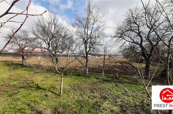 Teren Intravilan de vanzare NAZNA - Mures anunturi imobiliare Mures
