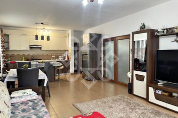 Casa P+M cu teren 2500 mp in Cheriu, Bihor anunturi imobiliare Bihor
